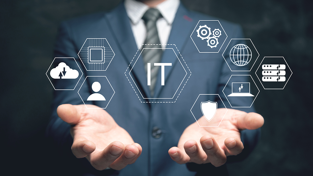 IT Danışmanlığı